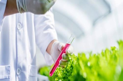 农产品溯源平台