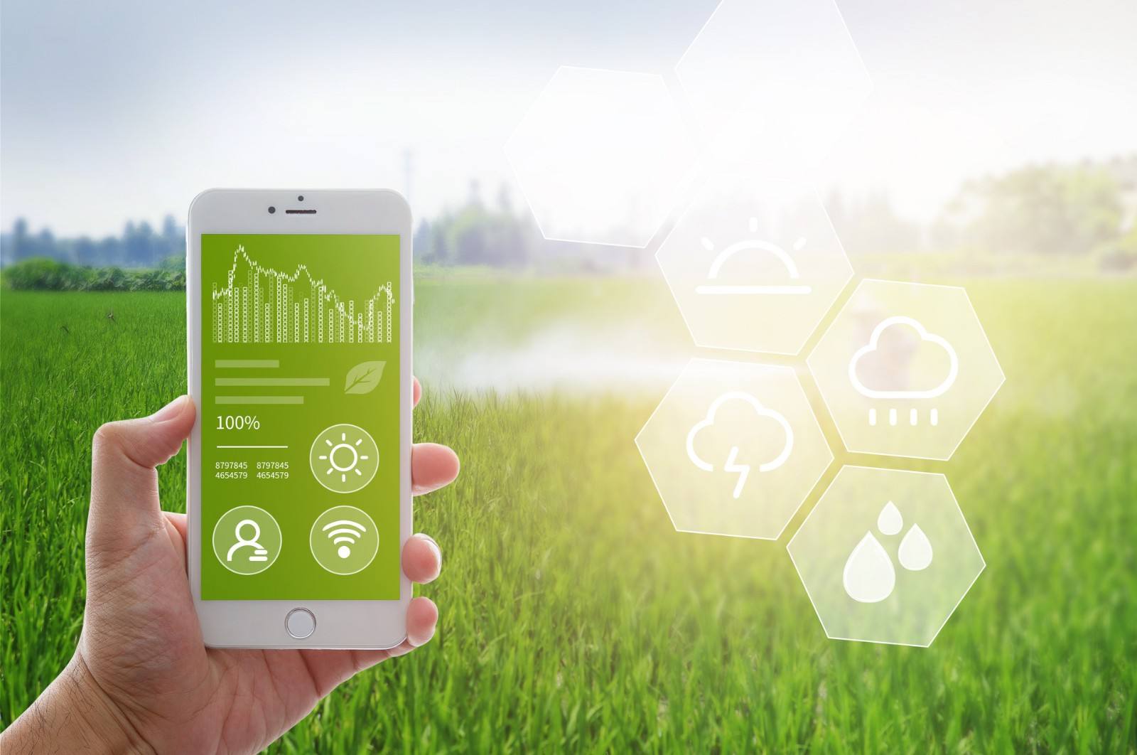 数字乡村综合服务平台